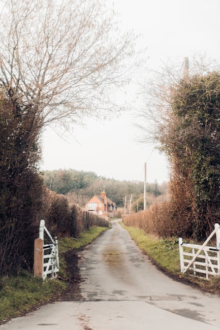 A narrow, rural residential road with a dirt and gravel surface, flanked by tall, dense hedges on both sides. On the left side, a wooden and white metal gate is partially open, leading to a house in the distance. The scene is illuminated by soft, natural daylight, with an overcast sky overhead. No furniture or moving equipment is visible in this image. This setting reflects a typical narrow road access often encountered during house removals in Surbiton, Kingston upon Thames, where careful navigation and logistic planning are necessary for home relocation or furniture transport, especially when accessing properties on tight or restricted paths. The image illustrates the environment and terrain that Removals Kingston upon Thames might handle during detailed packing and loading processes for house removals on narrow streets.